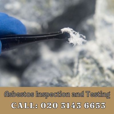 Comprehensive Asbestos Inspection and Testing Services in Longcross